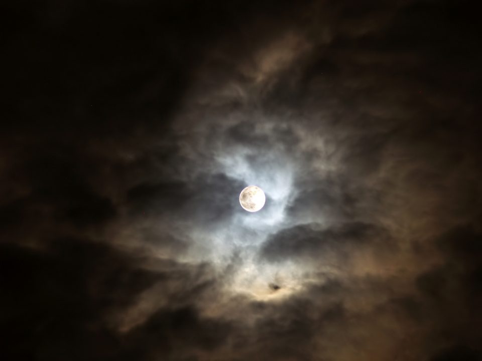 মধ্য এশিয়ান জোছনা