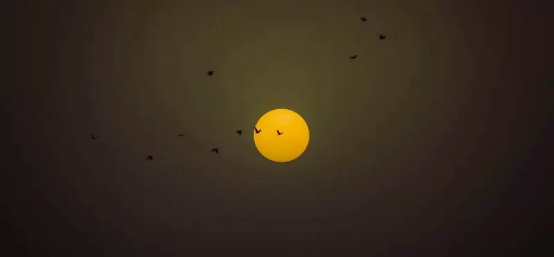 পুরোনো সন্ধ্যা